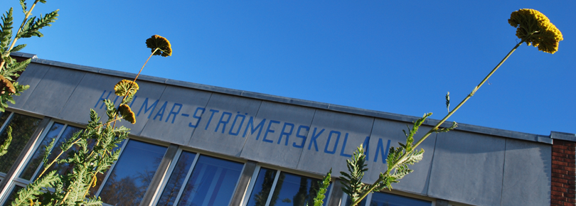 Hjalmar Strömerskolans fasad.